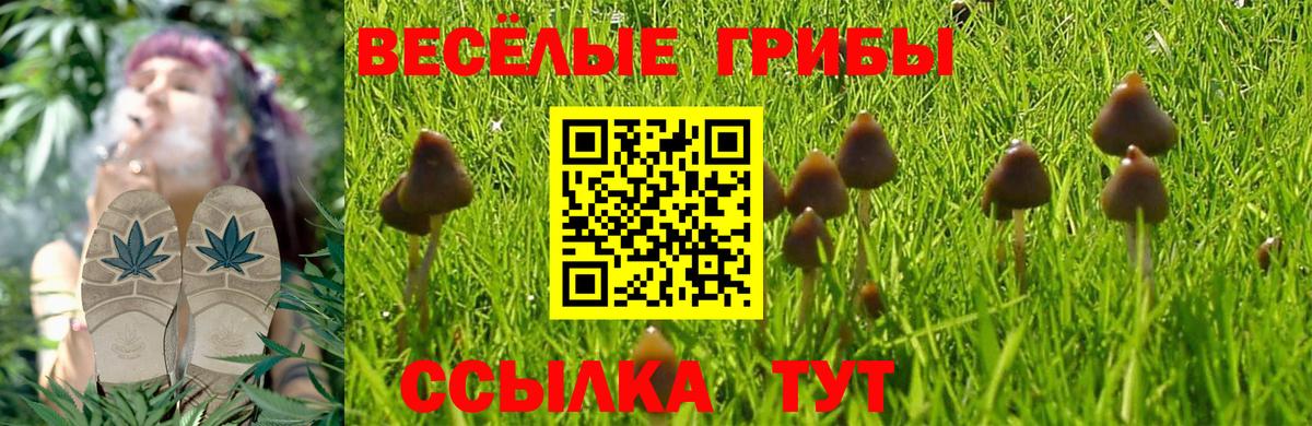 Галлюциногенные грибы Cubensis  купить  сайты  Камень-на-Оби  Вход с VPN 